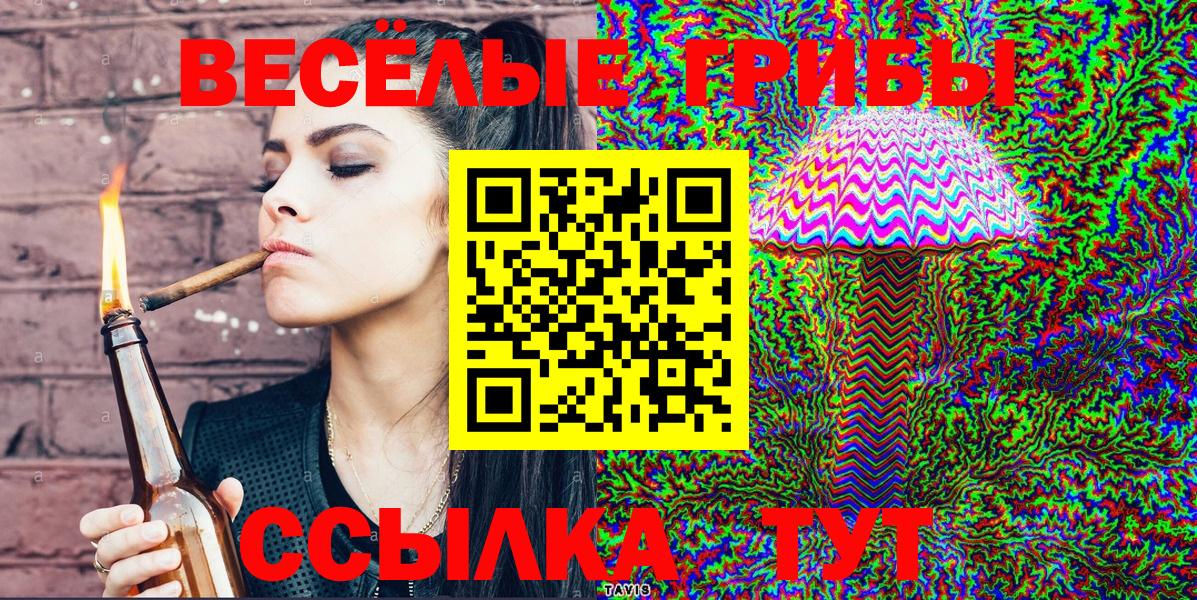 где купить наркоту  Вход с VPN  Сатка  Галлюциногенные грибы Cubensis 